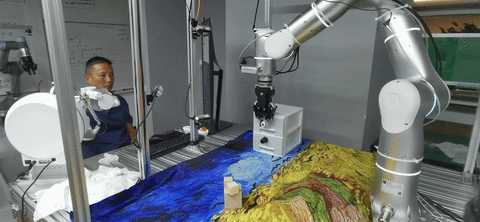 Human operator teleoperating an RH20T robot arm